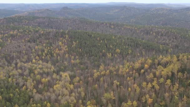 Aerial view of the forest in the mountains. — Stock Video