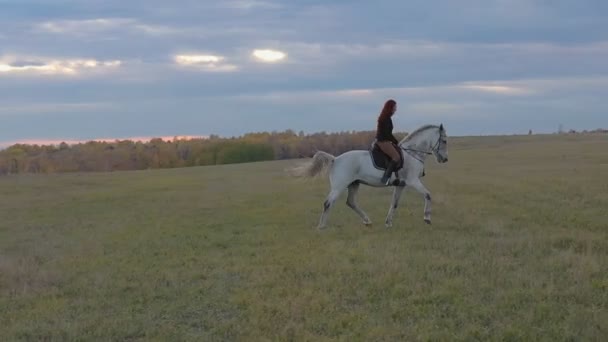Mladá atraktivní žena jezdí na bílém koni přes pole při západu slunce. — Stock video