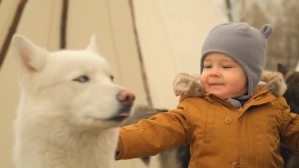 Långsam rörelse av en liten pojke som leker med en hund. — Stockvideo