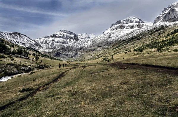 Valley of Aisa  Huesca Pyrenees. — Stock Photo, Image