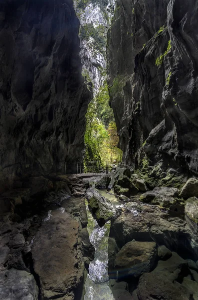 Kakuetta di Pyrnes — Stok Foto