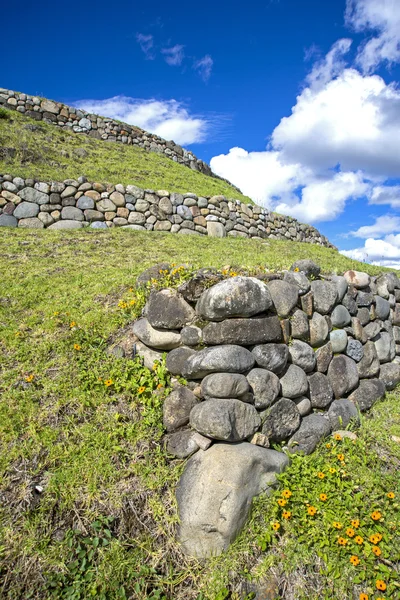 Ancient ruins of Pumapungo — Stock fotografie