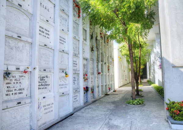 Cemetery niches in the wall — Stock Photo, Image