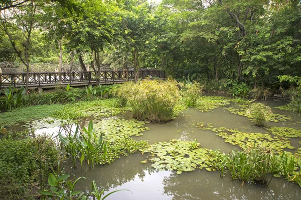 Petit étang dans un parc — Photo