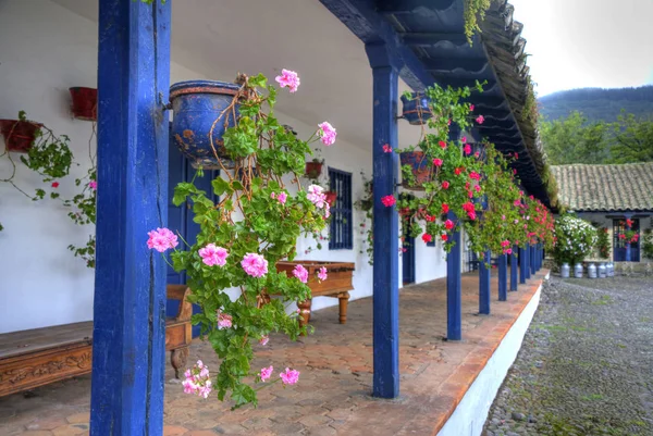 Fleurs dans une vieille hacienda — Photo