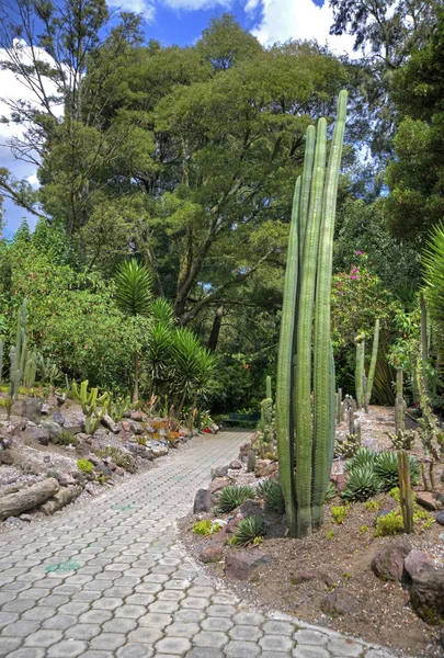 Jardin botanique avec passerelle — Photo