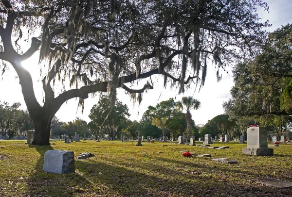 Cemetery grounds, late afternoon. — Stock Photo, Image