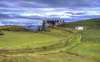 Güzel Ekvador Andes manzara