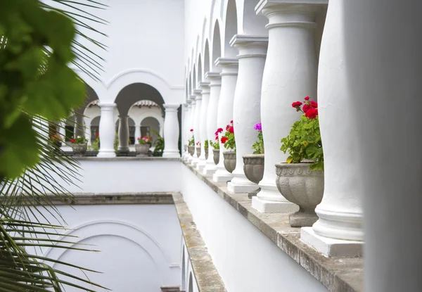 Fleurs en pots et colonnes d'une maison — Photo