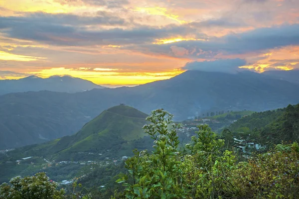 エクアドルのアンデス山脈を背景にした植物と茂み — ストック写真