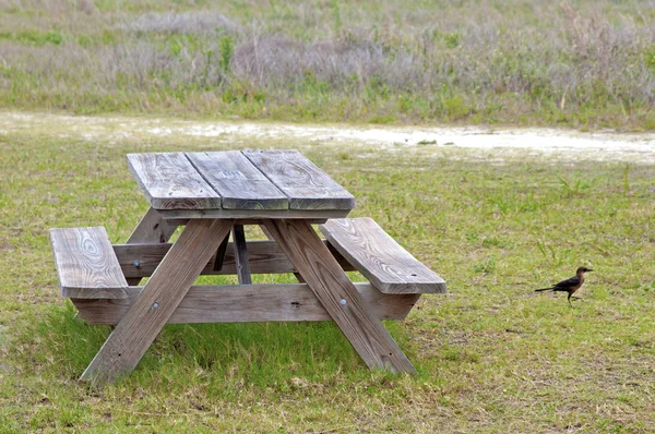 Mesa de picnic en una playa — Foto de Stock