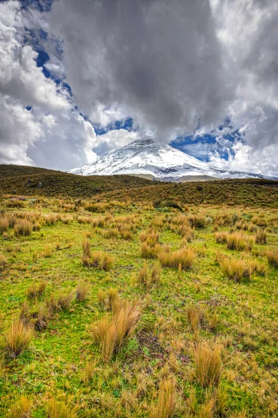 Wide Angle View Cotopaxi Volcano Cotopaxi National Park Sunny Overcast — Stock Photo, Image