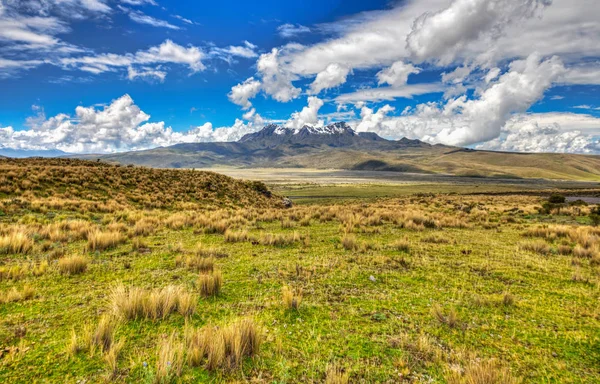 Der Wiederkäuervulkan Hintergrund Und Die Felder Hochland Des Cotopaxi Nationalparks — Stockfoto
