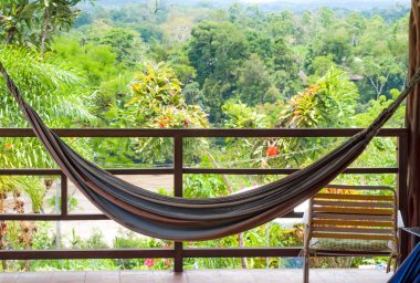Eski bir orman evinde bir güzel orman sahne önünde Ekvador asılı hamak.