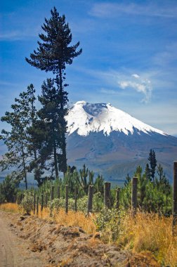 Güneşli bir sabahta Cotopaxi Ulusal Parkı 'ndan Cotopaxi volkanı manzarası. Ekvador
