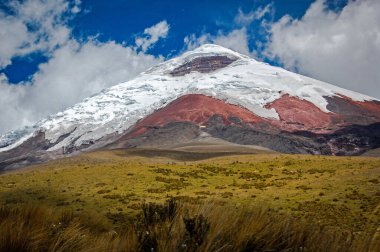 Güneşli bir sabahta Cotopaxi Ulusal Parkı 'ndan Cotopaxi volkanı manzarası. Ekvador