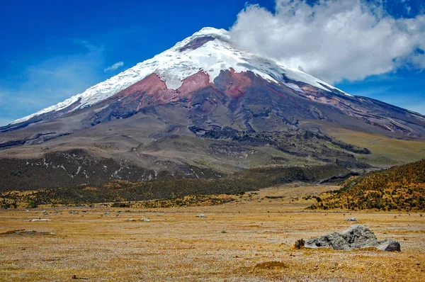 Udsigt Cotopaxi Vulkanen Solrig Morgen Med Vulkanske Klipper Forgrunden Cotopaxi - Stock-foto