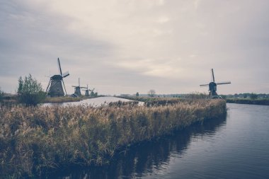 Bulutlu bir günde Hollanda 'da nehir kıyısındaki rüzgar değirmenlerinin manzaralı görüntüsü