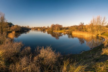 Amsterdamse Waterleidingduinen Doğa Koruma Alanındaki kumul bitki örtüsünde gökkuşağı manzarası - Hollanda