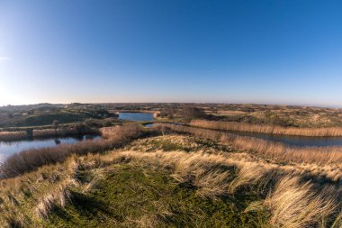 Amsterdamse Waterleidingduinen Doğa Koruma Alanındaki kumul bitki örtüsünde gökkuşağı manzarası - Hollanda