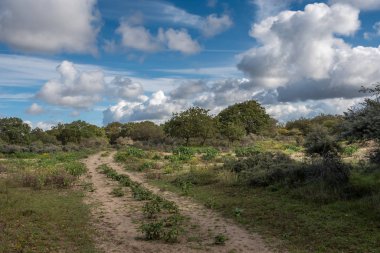 Kum tepelerindeki Hollanda manzarası