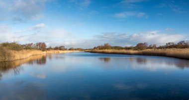 Hollanda 'nın kumul bölgesindeki güzel su manzarası