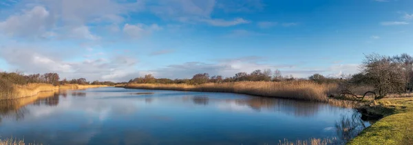 Prachtig Uitzicht Het Water Het Duingebied Van Nederland — Stockfoto