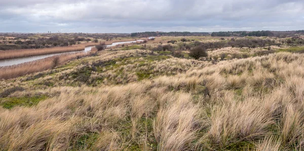 Panorama view of a rainbow in the the dune vegetation landscape in Amsterdamse waterleidingduinen nature reserve - the Netherlands