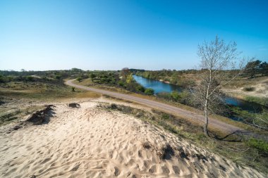 Hollanda, kum tepelerinde bir göl. Vogelenzang 'ı yerleştir (bloemendaal)