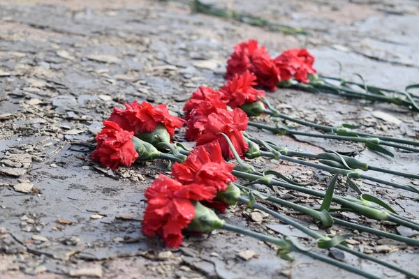 战争纪念碑前的红色丁香 — 图库照片