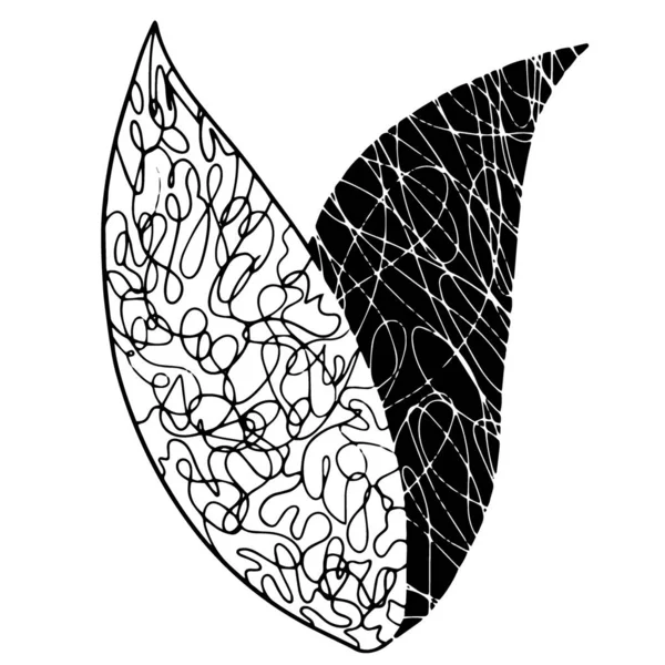 Abstract lace leaves. Mysterious forest hand-drawn line art — Stock Photo, Image