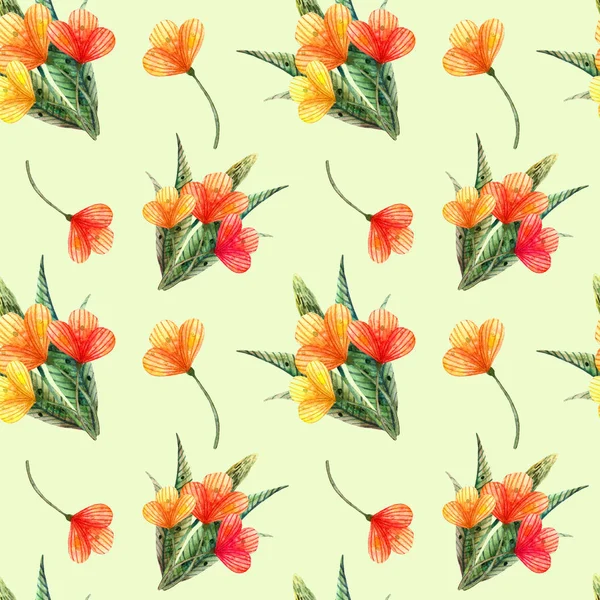Aquarell Wildblumen. nahtloses Muster mit einem Strauß orangefarbener Blumen hellgrün — Stockfoto