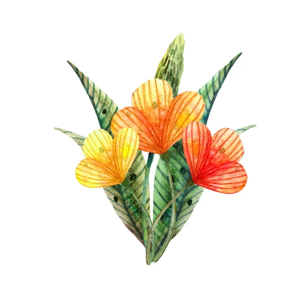 Fleurs sauvages aquarelle. Bouquet isolé de jolies fleurs jaunes et orange — Photo