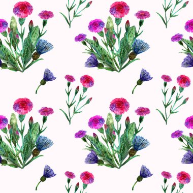 Suluboya kır çiçekleri. Pembe karanfil buketi ve mavi çiçek desenli kusursuz bir desen.