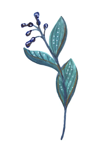 Зелена гілка з блакитними квітами Мексики — стокове фото