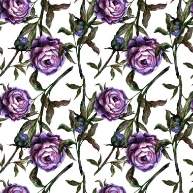 Kusursuz suluboya gerçekçi botanik desenli mor şakayık çiçekli. 