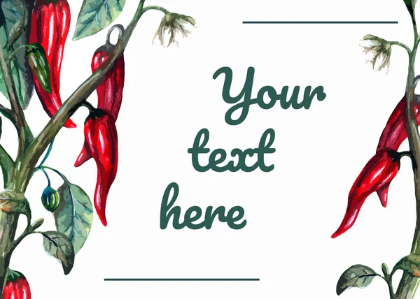 Akvarel realistické pozvánky šablona - červená chilli paprika — Stock fotografie