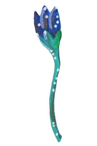Блакитна квітка гуаш мексика — стокове фото