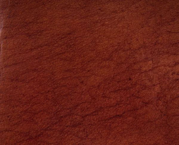 Brown leather surface texture — Stock Photo, Image