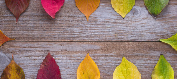 colored leaves on wooden background