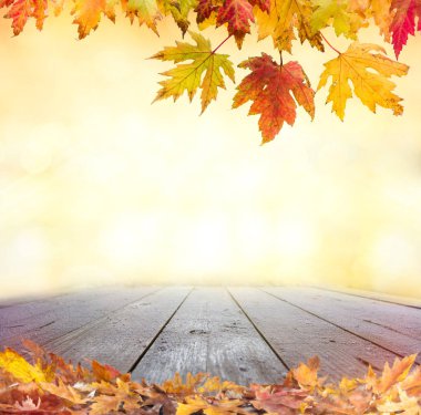 Tahta Masa Yaprağı