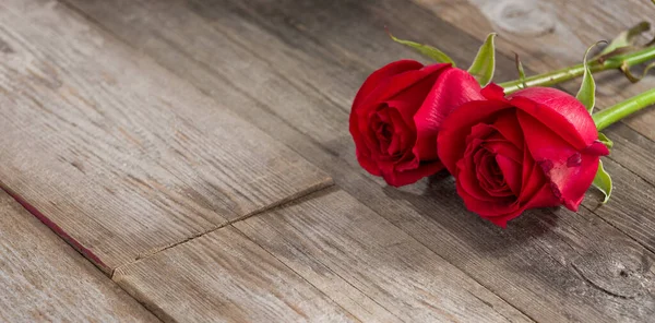 Duas rosas apaixonadas na tábua de madeira — Fotografia de Stock
