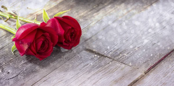 Rosas vermelhas na placa de madeira — Fotografia de Stock