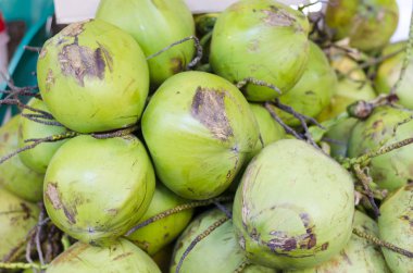 Taze topikal hindistancevizi