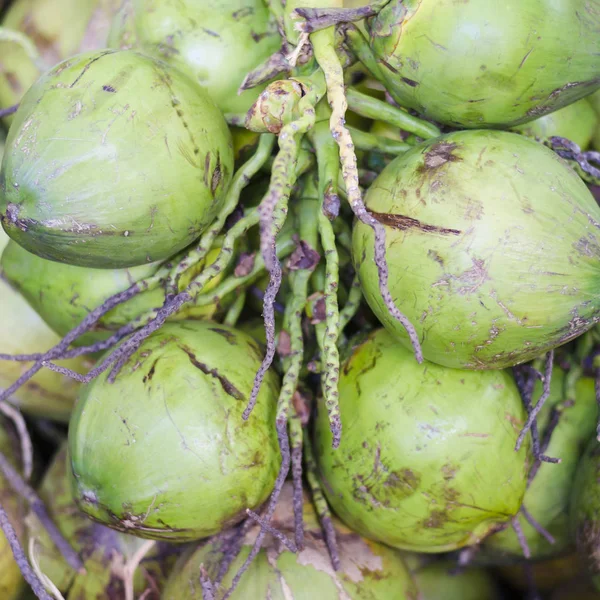 Färska aktuell kokosnötter — Stockfoto