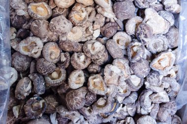 Kurutulmuş mantar yığını piyasa Çin satmak