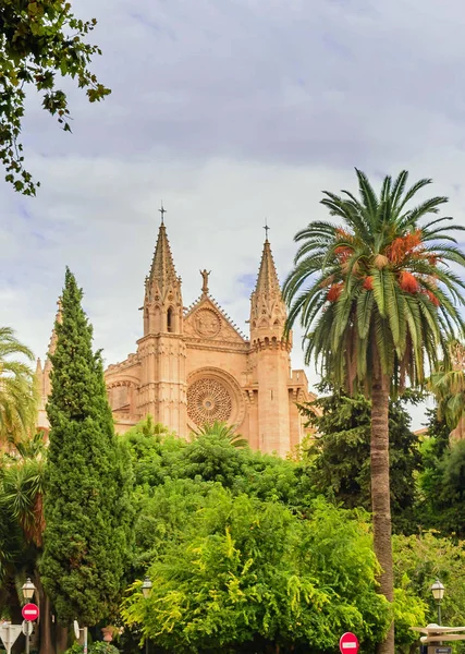 cathedrale de mallorca