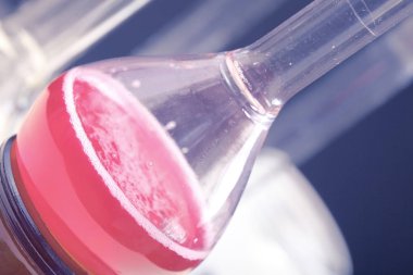 Pembe sıvı olan Laboratuar kapkacakları