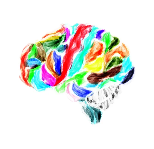 Otak manusia berwarna-warni dicat dengan cat air . - Stok Vektor