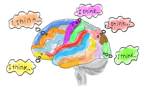 Pensando trabalhando cérebro humano —  Vetores de Stock